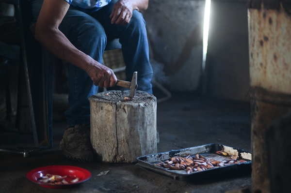 Foto - Göçebelerin "kışlama" yolculuğu başladı