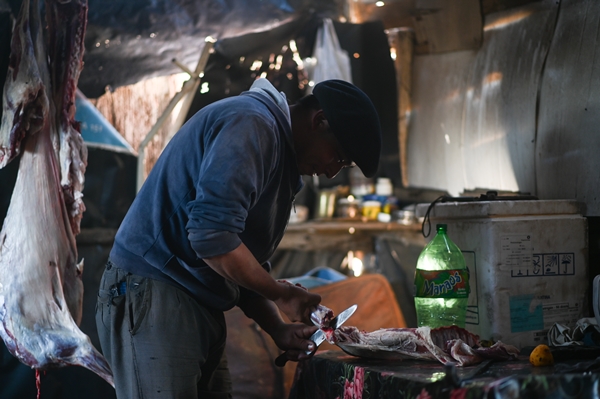 Foto - Göçebelerin "kışlama" yolculuğu başladı