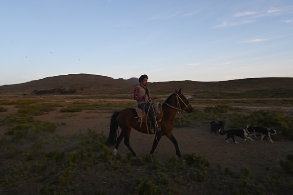 Foto - Göçebelerin "kışlama" yolculuğu başladı