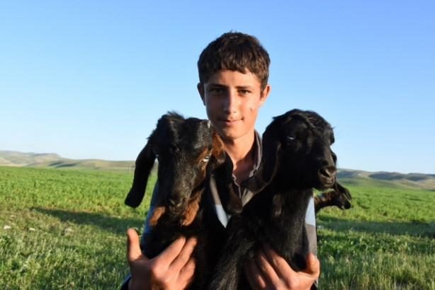 Göçerler, zorlu yayla yolculuğuna hazırlanıyor