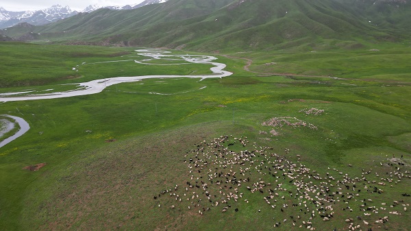 Foto - Göçerlerin Faraşin Yaylası'na zorlu yolculuğu