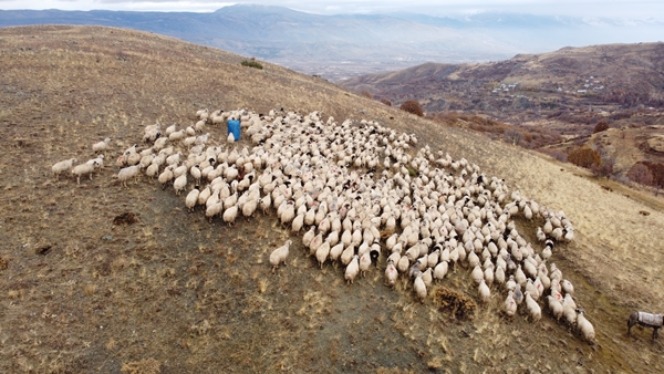 Foto - Göçerlerin yayladan zorlu dönüş yolculuğu başladı