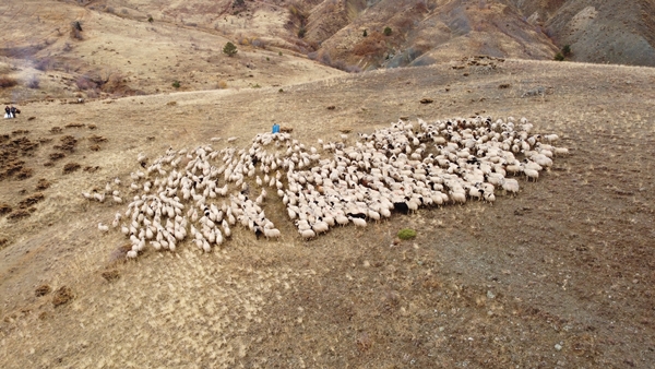 Foto - Göçerlerin yayladan zorlu dönüş yolculuğu başladı