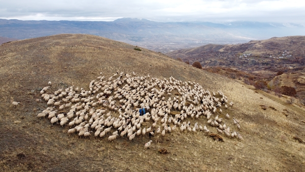 Foto - Göçerlerin yayladan zorlu dönüş yolculuğu başladı