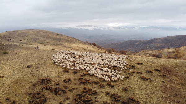Foto - Göçerlerin yayladan zorlu dönüş yolculuğu başladı