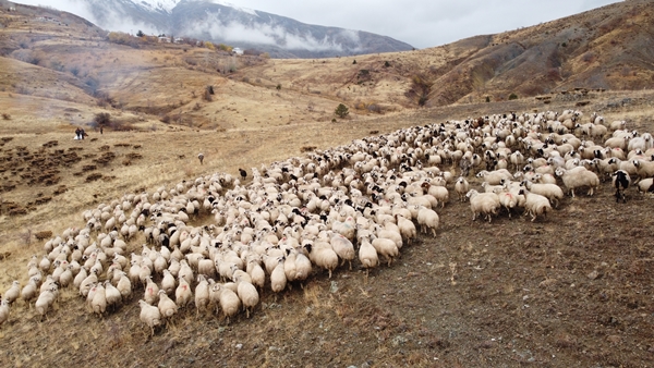 Foto - Göçerlerin yayladan zorlu dönüş yolculuğu başladı