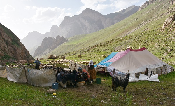 Foto - Göçerler yaz rotasını izlemeye başladı
