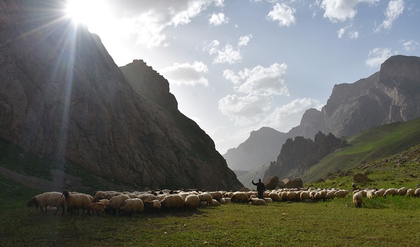 Göçerler yaz rotasını izlemeye başladı