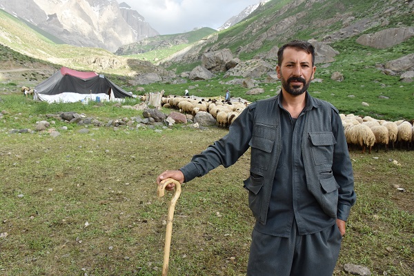 Foto - Göçerler yaz rotasını izlemeye başladı