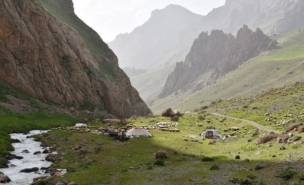 Foto - Göçerler yaz rotasını izlemeye başladı