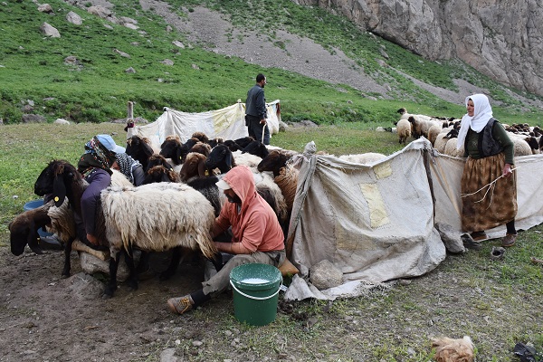 Foto - Göçerler yaz rotasını izlemeye başladı