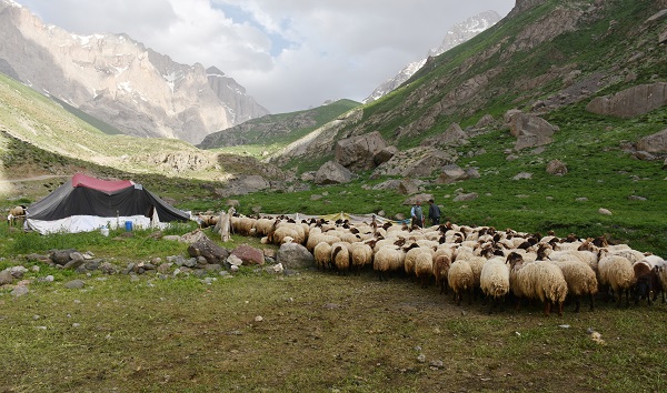 Foto - Göçerler yaz rotasını izlemeye başladı