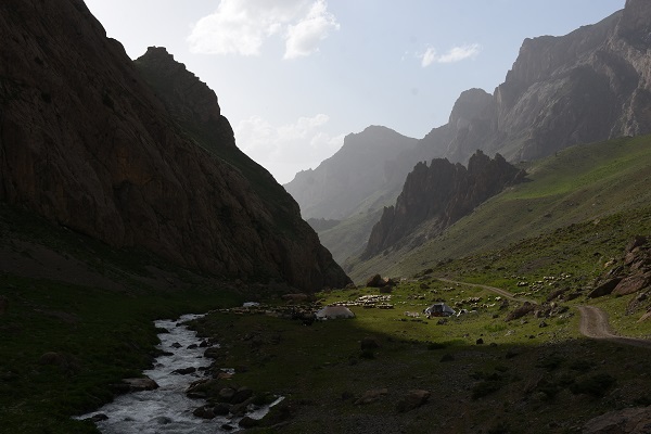 Foto - Göçerler yaz rotasını izlemeye başladı