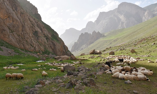 Foto - Göçerler yaz rotasını izlemeye başladı