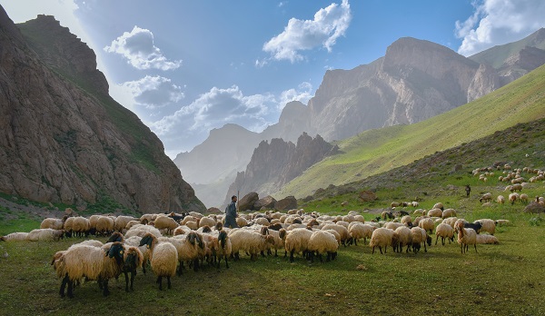 Foto - Göçerler yaz rotasını izlemeye başladı