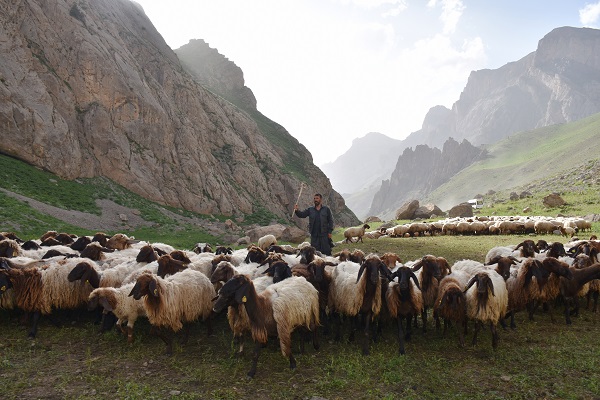 Foto - Göçerler yaz rotasını izlemeye başladı