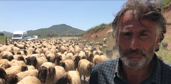 Foto - Göçerlerin zorlu yayla yolculuğu 