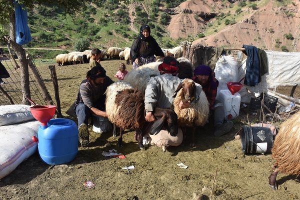 Foto - Göçerlerin zorlu yolculuğu başladı