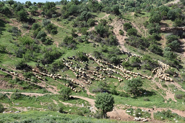 Foto - Göçerlerin zorlu yolculuğu başladı