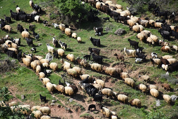 Foto - Göçerlerin zorlu yolculuğu başladı
