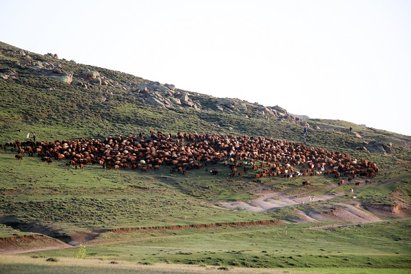 Foto - Göçerlerin zorlu yolculuğu objektiflere yansıdı