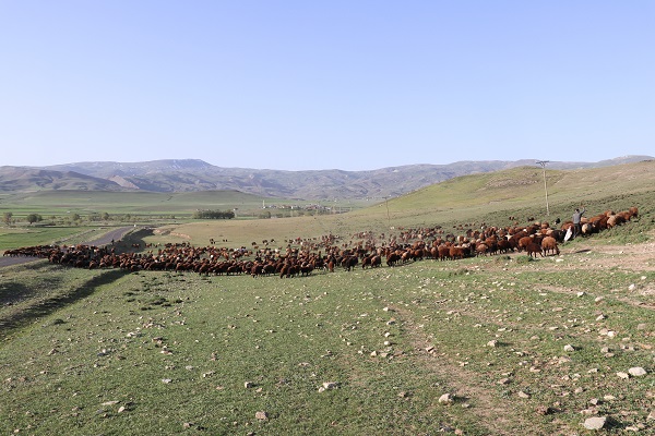 Foto - Göçerlerin zorlu yolculuğu objektiflere yansıdı
