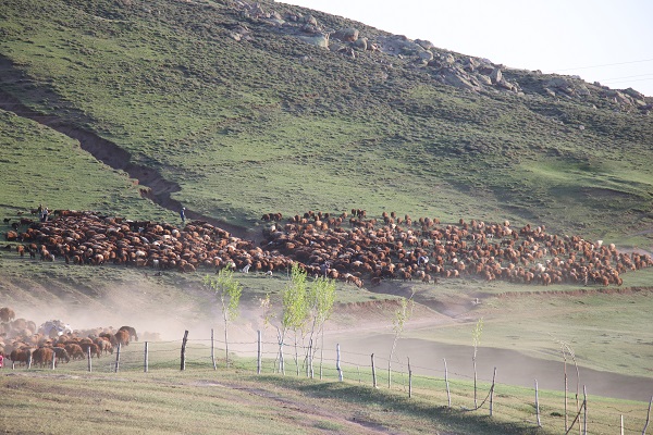 Foto - Göçerlerin zorlu yolculuğu objektiflere yansıdı