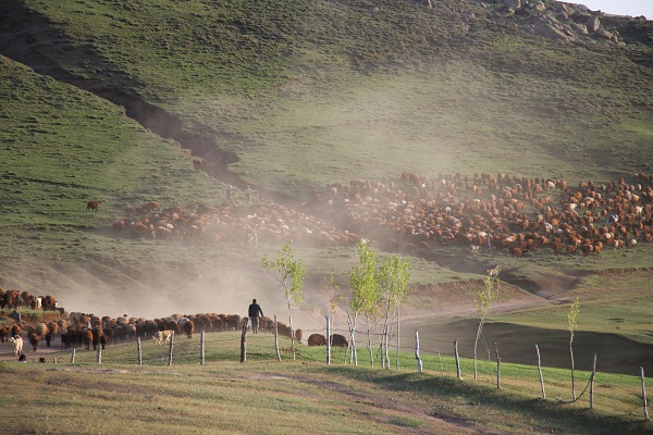 Foto - Göçerlerin zorlu yolculuğu objektiflere yansıdı