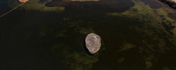 Foto - Göçmen kuşlar için seferberlik! Bu adacık bakın nasıl yapıldı