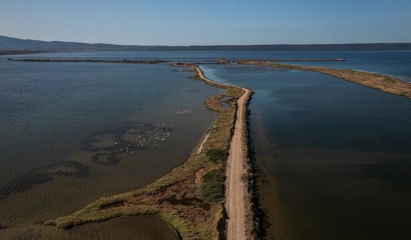Foto - Göçmen kuşlar için seferberlik! Bu adacık bakın nasıl yapıldı