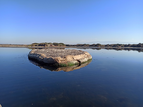 Foto - Göçmen kuşlar için seferberlik! Bu adacık bakın nasıl yapıldı