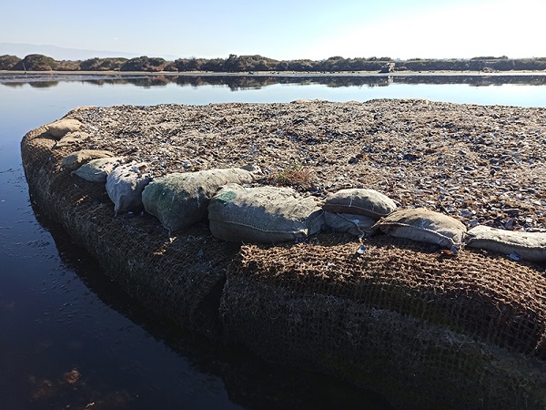 Foto - Göçmen kuşlar için seferberlik! Bu adacık bakın nasıl yapıldı