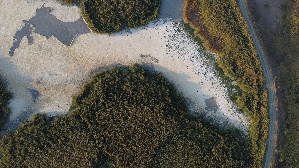 Foto - Göçmen kuşlara ev sahipliği yapan Gökgöl kurudu