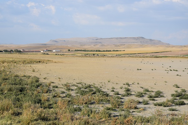 Foto - Göçmen kuşlara ev sahipliği yapan Gökgöl kurudu