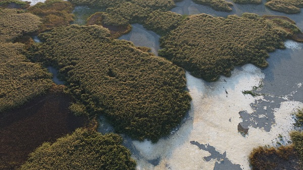 Foto - Göçmen kuşlara ev sahipliği yapan Gökgöl kurudu