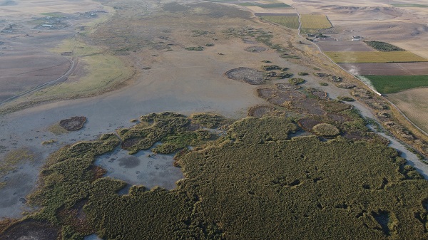 Foto - Göçmen kuşlara ev sahipliği yapan Gökgöl kurudu