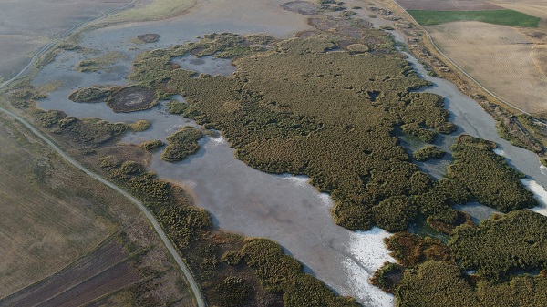Foto - Göçmen kuşlara ev sahipliği yapan Gökgöl kurudu