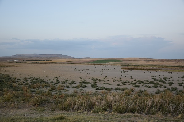 Foto - Göçmen kuşlara ev sahipliği yapan Gökgöl kurudu