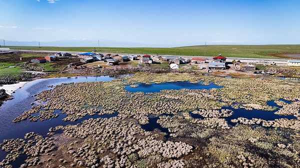 Foto - Göçmen kuşların mola yeri: Çalı Gölü
