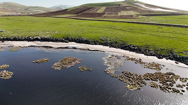 Foto - Göçmen kuşların mola yeri: Çalı Gölü