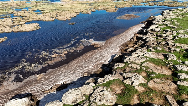 Foto - Göçmen kuşların mola yeri: Çalı Gölü