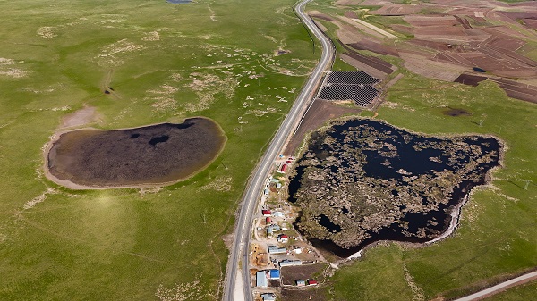 Foto - Göçmen kuşların mola yeri: Çalı Gölü