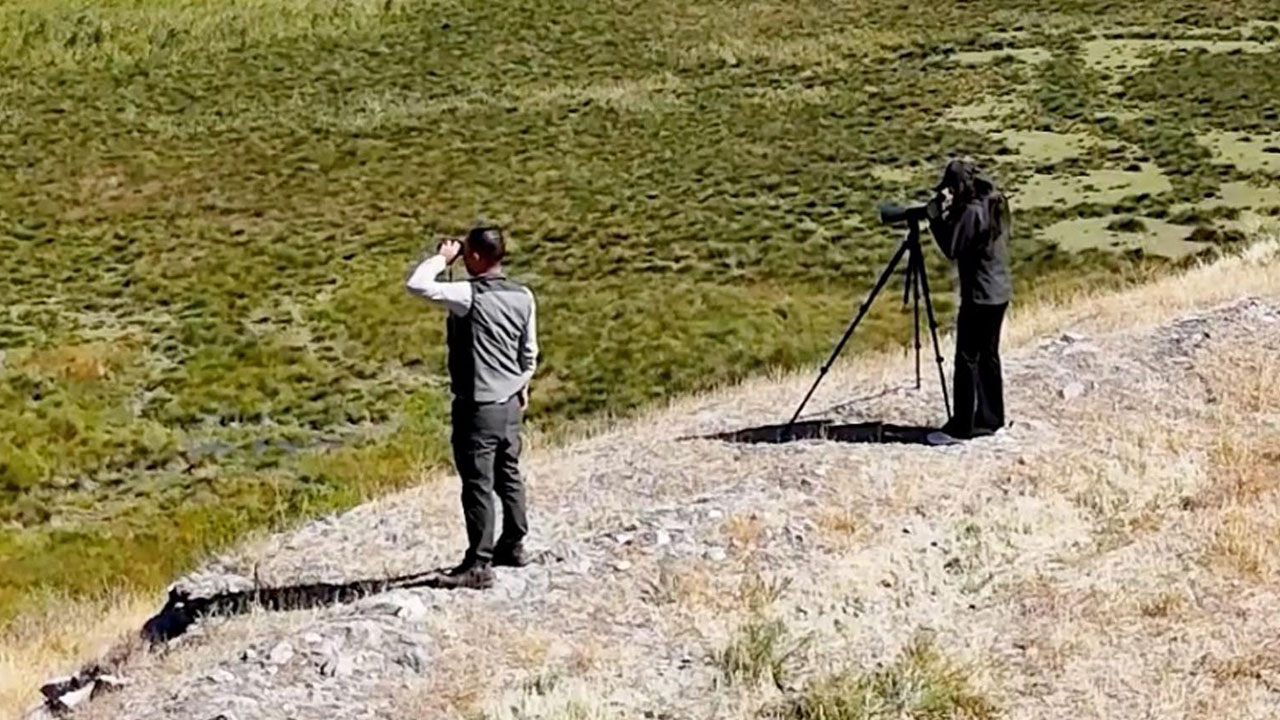 Foto - Göçmen kuşların rotası! Binlerce kilometrelik yolculuk burada kaydediliyor