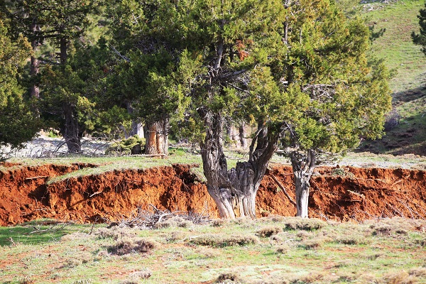 Foto - Göksun’da yüzey kırıkları böyle görüntülendi! Afetin boyutu bir kez daha şaşırttı