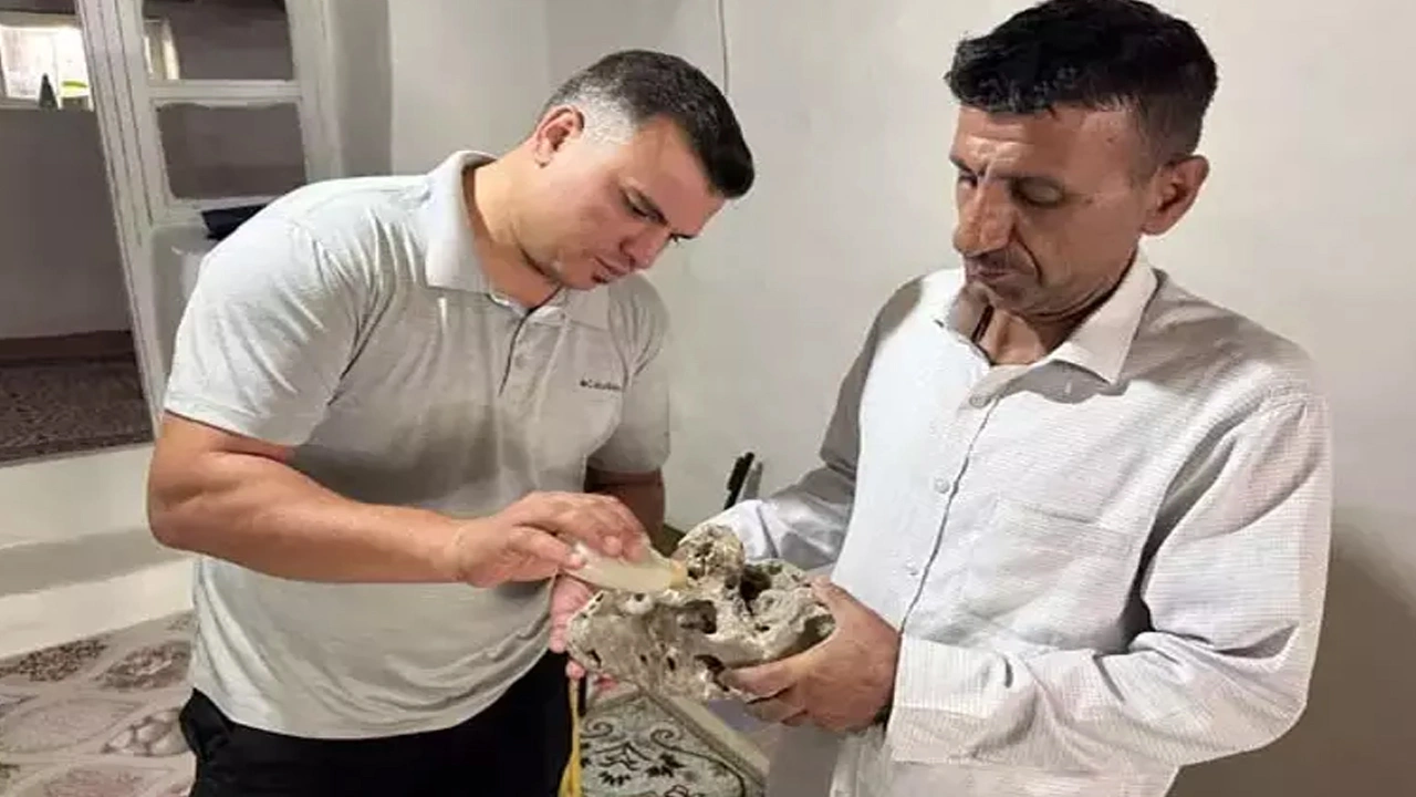 Göktaşı profesörü!