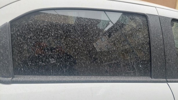 Foto - Gökten çamur yağdı