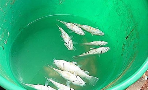 Foto - Gökten yağan en tuhaf 10 şey