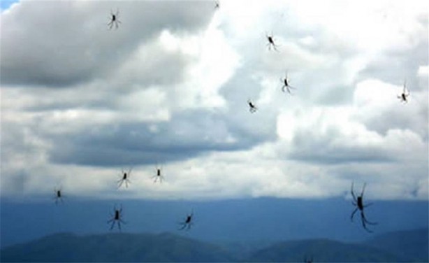 Foto - Gökten yağan en tuhaf 10 şey