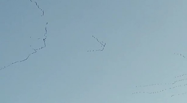 Foto - Gökyüzüne bakan hayran kaldı!