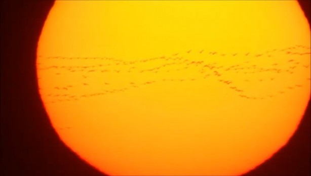 Foto - Gökyüzüne bakan hayran kaldı!